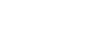 Kingspan-logo-white-300w